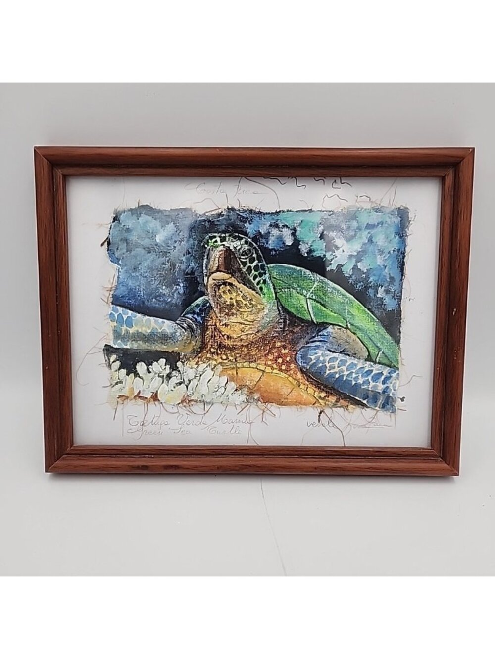 Original Hand Painting Acrylic Sea Turtle Marine Sea Life Art 6.5x8.5 Costa Rica
